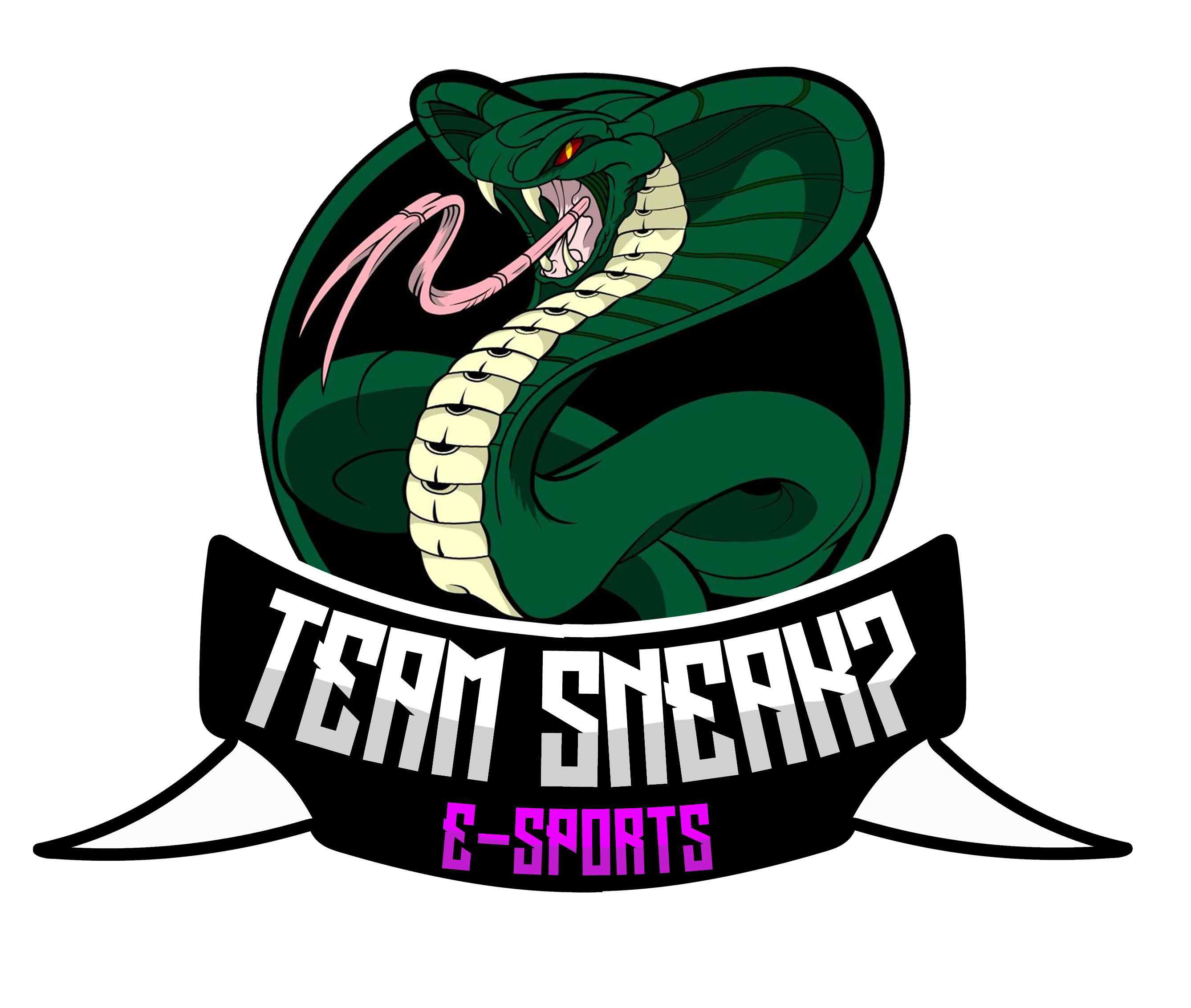 Logo Team Sneak 7